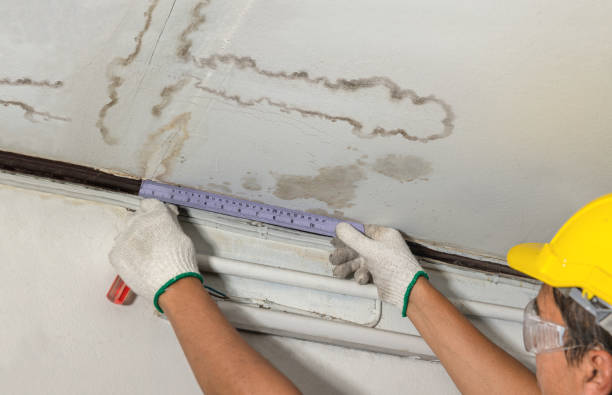 Affordable Ceiling Water Damage Repair solutions in Mount Vernon, ME